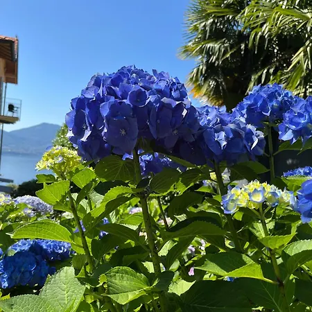 Villa Paradiso-2